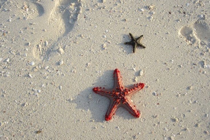 Check-in Sang Chảnh: Khám Phá Những Khách Sạn Sở Hữu View Triệu Đô Tại Việt Nam